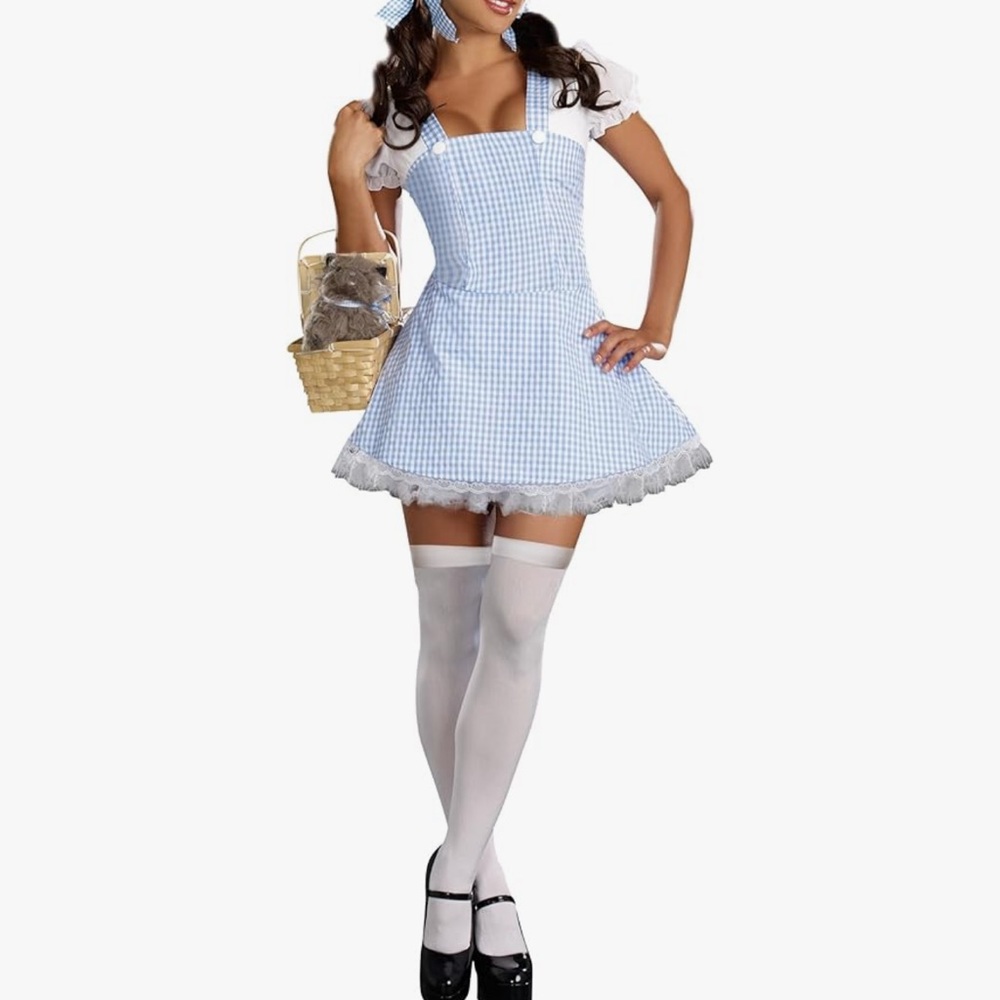 Dreamgirl Blue Gingham Mini Dress